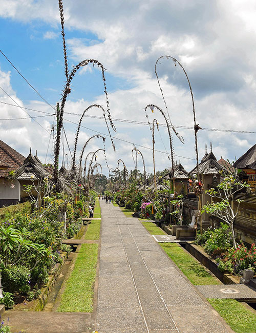 kintamani-tours-3
