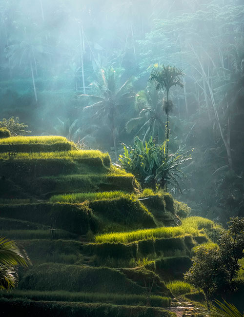 lempuyang-tours-4