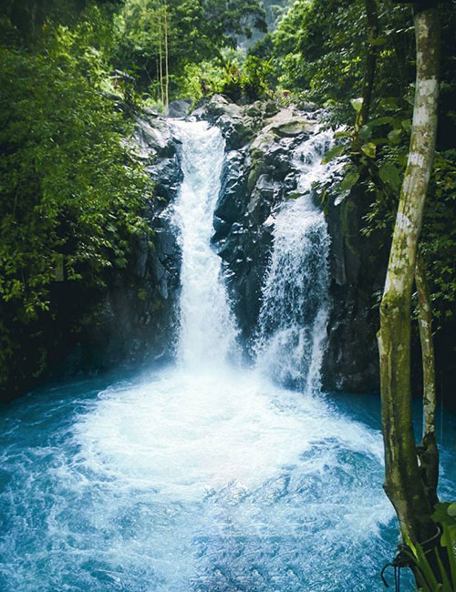 lovina-tours-2