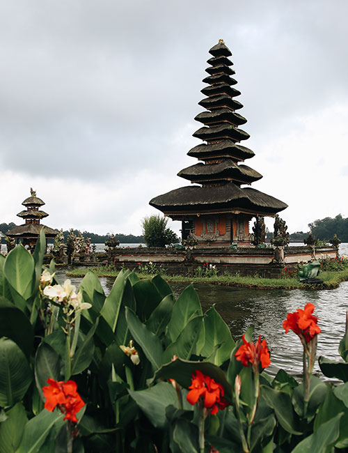 lovina-tours-3
