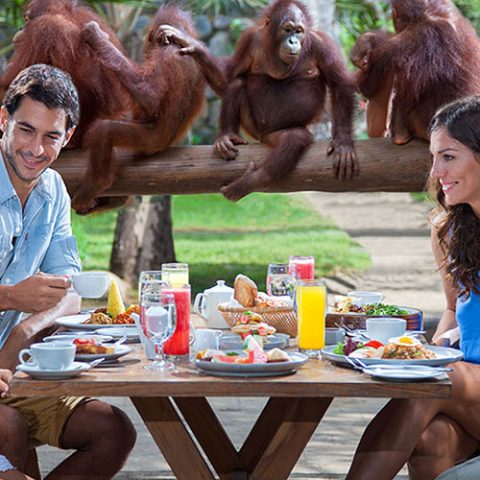 bali zoo park