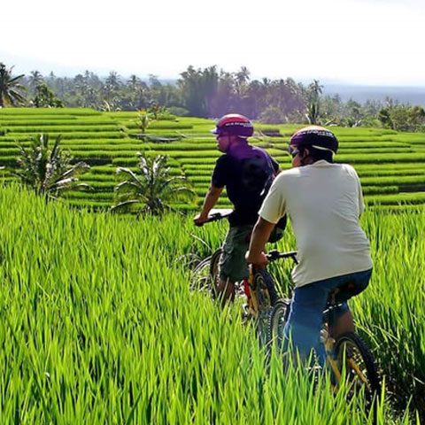 cycling2