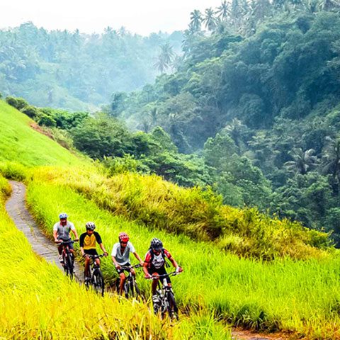 cycling3