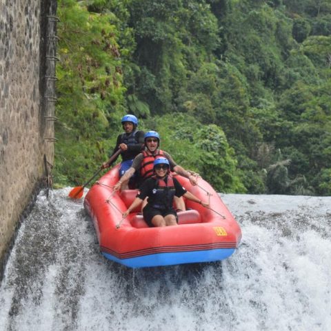 gotravbali-gallery-21