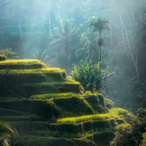 lempuyang-tours-4