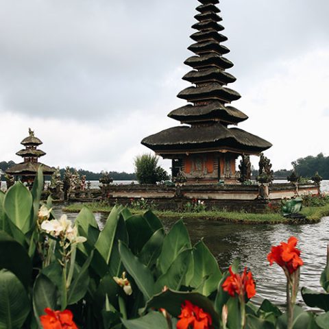 lovina-tours-3
