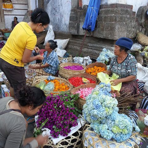 ubud-tours-5